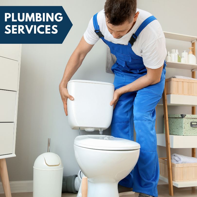Plumbing Company in Thomson, IL